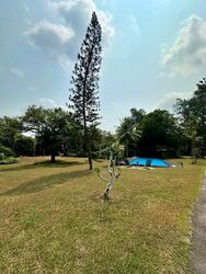 Mount Pleasant Road (D11), Detached #612879651